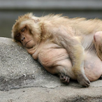 EHochgesang's Avatar'