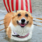 MageManatee's Avatar'