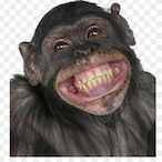repIiqa's Avatar'