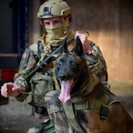 CandyUpFraise_'s Avatar'