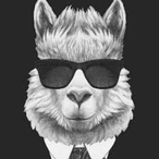 TheLlamaMafia13's Avatar
