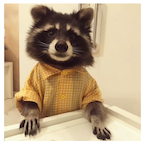 Chorrasco021's Avatar'