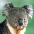 MakeaWishKid.M6's Avatar'