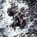 Schampenn's Avatar'