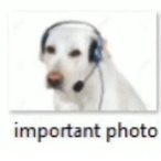 FunnyGummyy's Avatar'