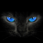 Zevy.'s Avatar'