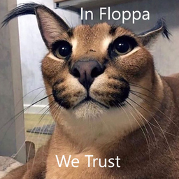 FloppMeIlIIIlll