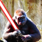 ObiiiJuanKenobi's Avatar'