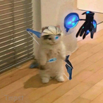 MeePkengPenIdol's Avatar'