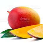 DoctorMangos's Avatar'