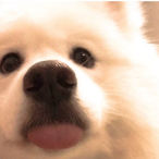 gggkjhk's Avatar'