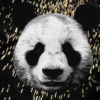 dizzy_panda1's Avatar