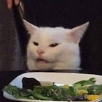 GalaxyTurtle59's Avatar'