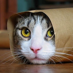 deralex_05's Avatar'