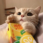 HKlemon_TEA's Avatar'