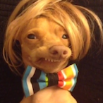 MVPCliffPaul's Avatar'