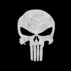Raptor_Magnetic's Avatar'