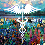 Finanzbetrug's Avatar'