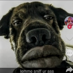 Baby_butters22's Avatar'