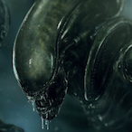 KUZAOWNZY0U's Avatar'