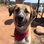 MikeBHustlin's Avatar'