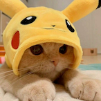 Bati.N_G_ER's Avatar'
