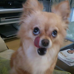 Kor-dangdangi's Avatar'