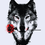 Dave_LW's Avatar'
