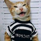 NightClover_'s Avatar'