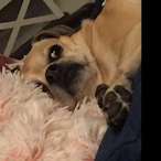 milkdeewby's Avatar'