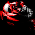 FlNGUR ME's Avatar'