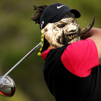 SpicyFatMan's Avatar'