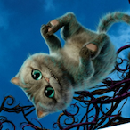 ISOLATED3081's Avatar'