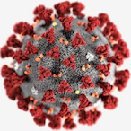 Corona_virus_19's Avatar'