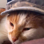 Kitty.DE's Avatar'