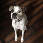 xSauceItUp's Avatar'