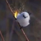 XtremGiggles's Avatar'