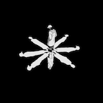 veezington's Avatar'