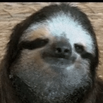 Rambo_Ducky's Avatar'