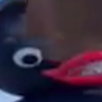 BadLifeChoices7's Avatar'