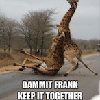 black.beans's Avatar'