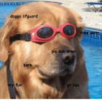 DogeEvil's Avatar'