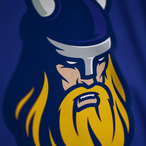 VIKlNG's Avatar'