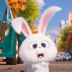 Just-Moment.exe's Avatar'