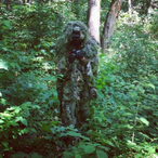 PatTheSniper's Avatar'