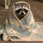 spookykim's Avatar'