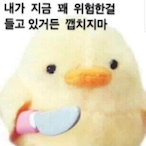 tlqkf_torldi's Avatar'