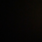 Nibolicious's Avatar'