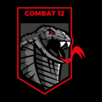 c12_NightSwing's Avatar'