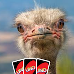 holfweerwolf's Avatar'